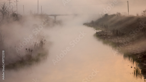 Morning fog landscape © jeagun
