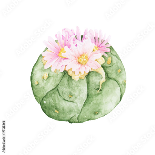 Hand drawn natural fresh cactus