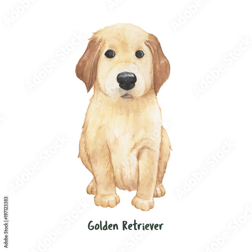 Illustration of a golden retriever puppy