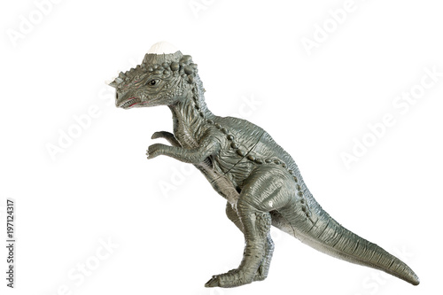 Pachycephalosaurus dinosaurs toy isolated on white background  with clipping path