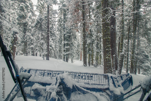 View from a Groomer