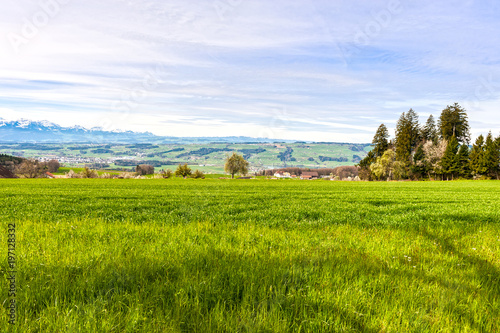 Pasture on the background of snow-capped Alps