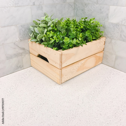 Green plant in a wooden box in the kitchen corner