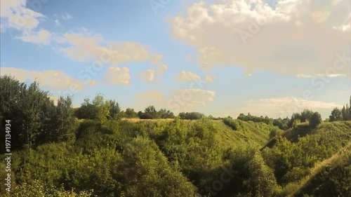 ravine with green trees in city park in summer
