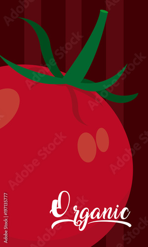 Red tomatos cartoon