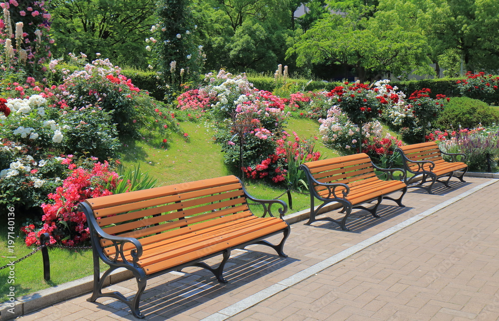 Fotografie Park bench and flower garden