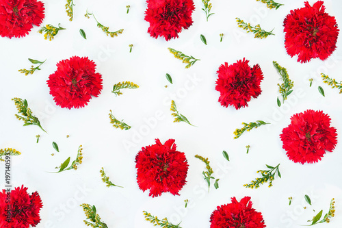 Floral pattern of red carnations, green leaves, branches on a white background. photo