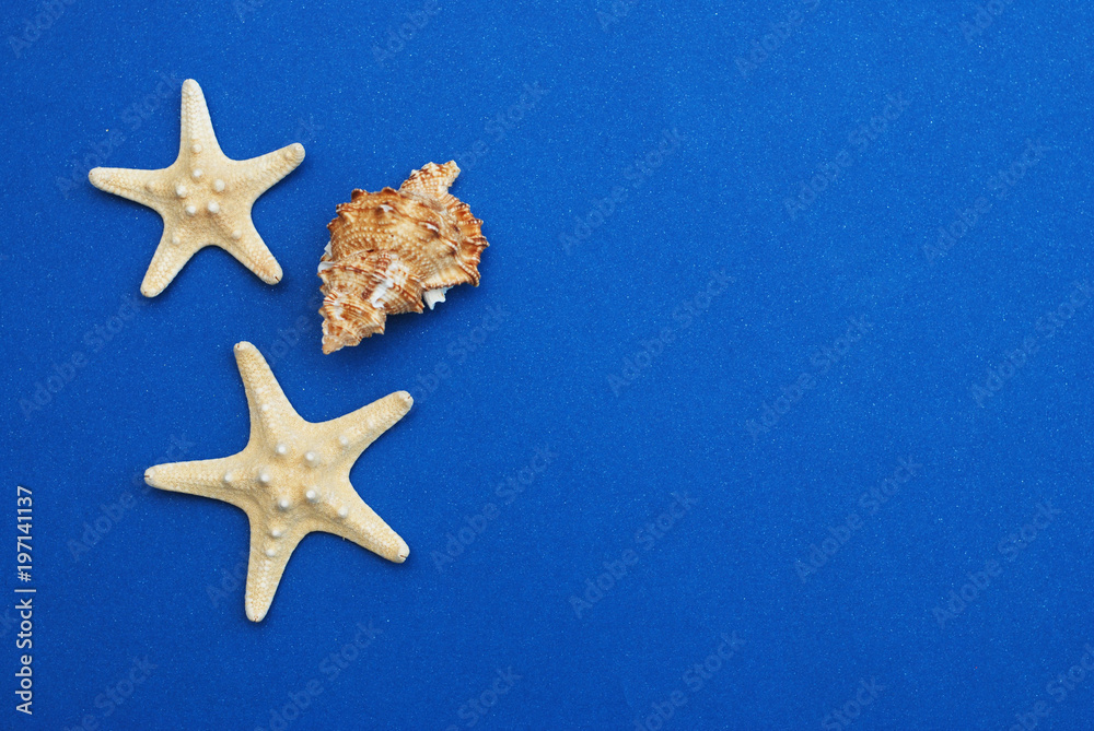 Nautical, Marrine concept. Starfish with Shell against a Blue background with copy Space. Summer Holliday. Nautical, Marrine concept. Starfish with Shell against a Blue background with copy Space. Summer Holliday.