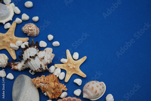 Starfish with Shells and stones Against a Blue Background with Copy Space. Summer Holliday. Nautical, Marrine concept. photo