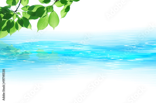 水面と光と若葉   © imagefuji