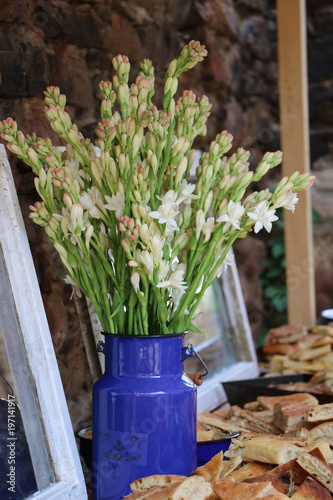 Tuberose flower decorating a brunch table photo