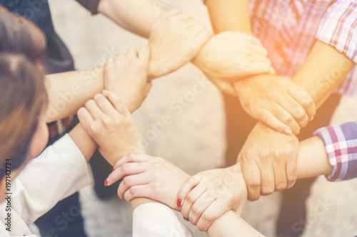 Wallpaper Mural Group of business people crossed arms in pile for win. Stack of hands. Cooperation concept Torontodigital.ca