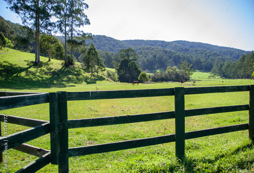 A picturesque farm scene from Gipplsland Australia
