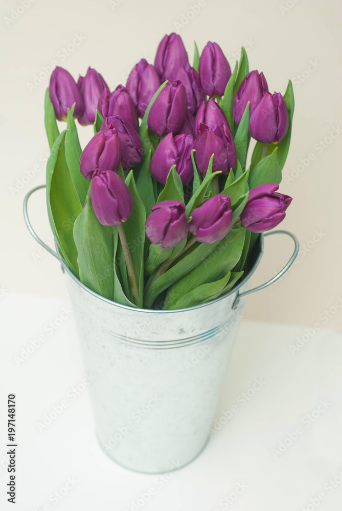 Purple Bunch Bouquet of Purple flowers. Spring flower Background. Selective focus.