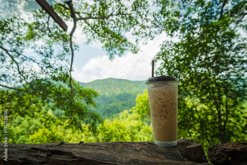 Ice coffee in plastic cup at the nature