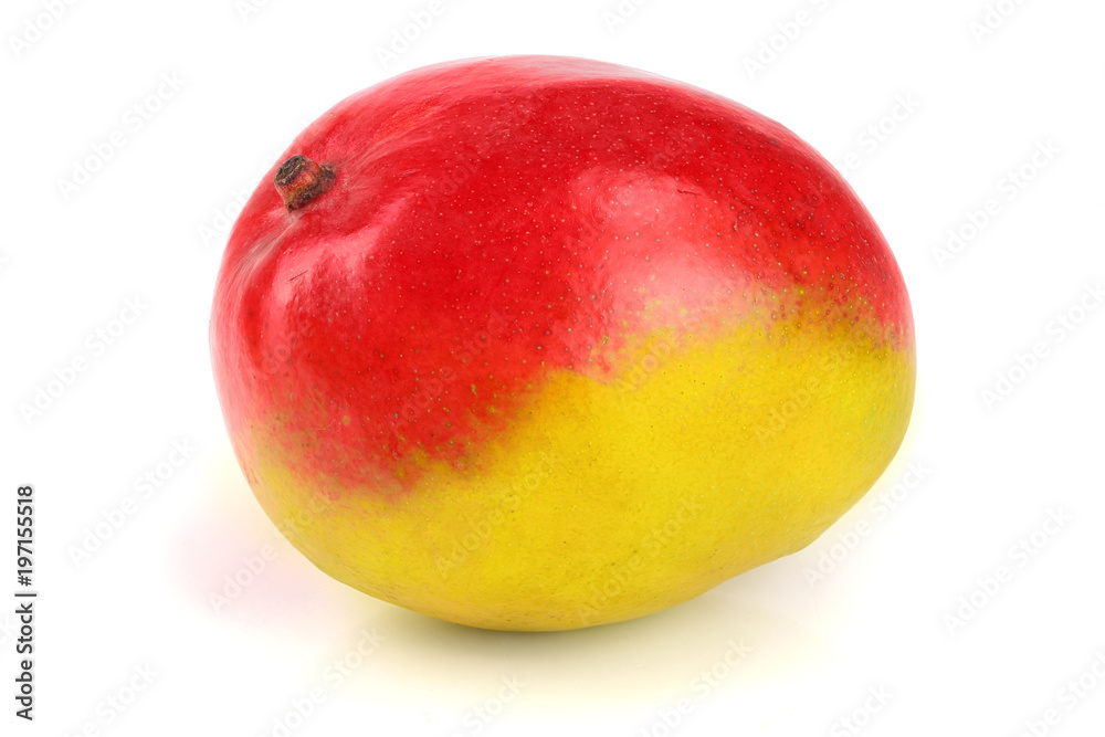 Mango fruit isolated on white background close-up without shadow Mango fruit isolated on white background close-up without shadow