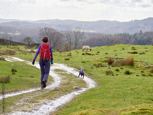 A hiker and their dog walking towards Moss Eccles Tarn in the English Lake District, UK. photo