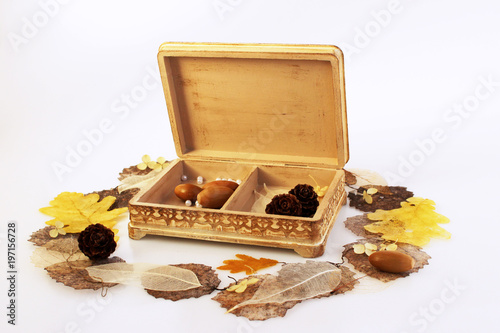 open wooden hand-made box with skeletonized leaves, acorns and cones on a white background.
