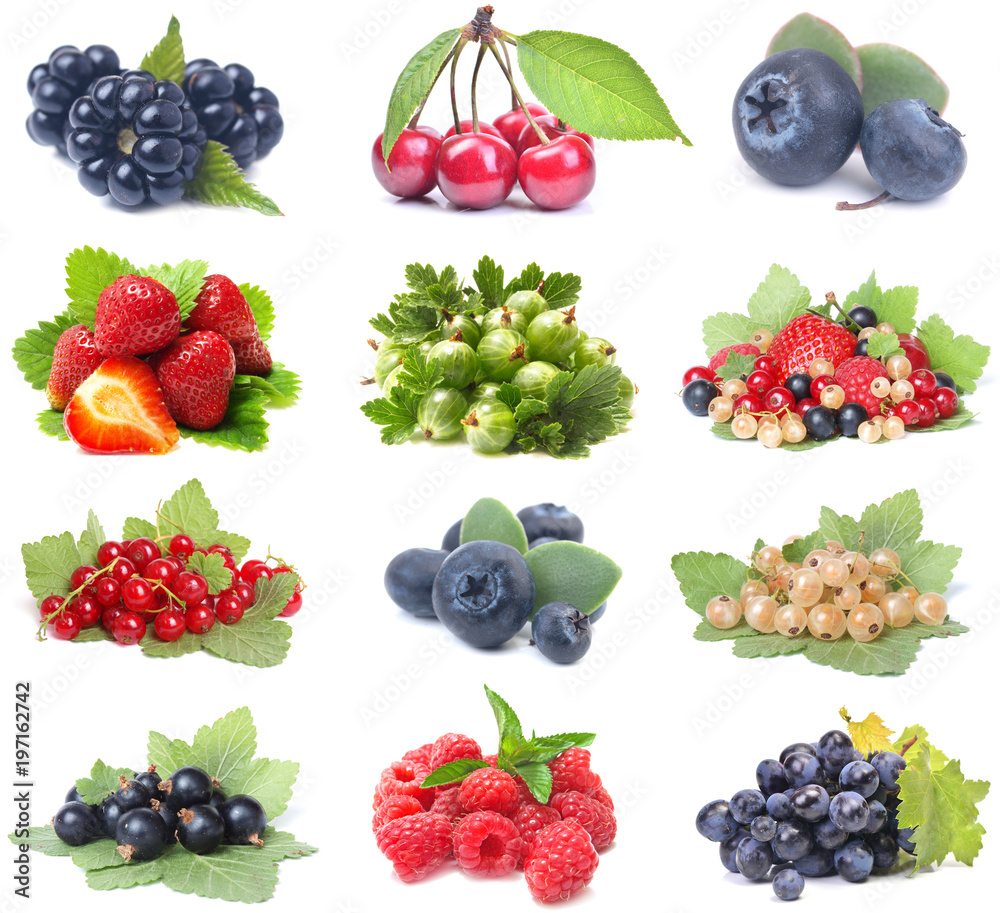 Fresh berries Fresh berries