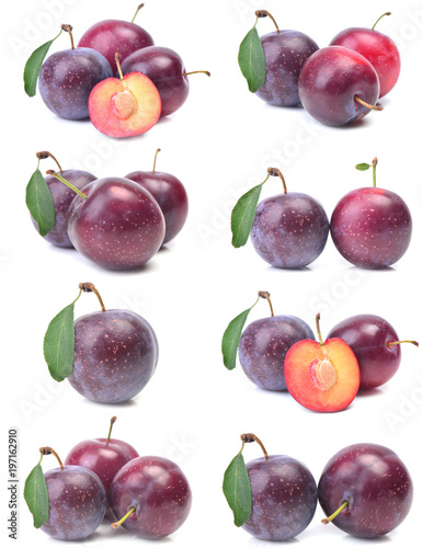 Plum fruit