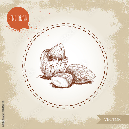 Hand drawn sketch almond nuts. Peeled nuts and nut in nutshell. Group organic superfood isolated on old looking background. Vector illustration.