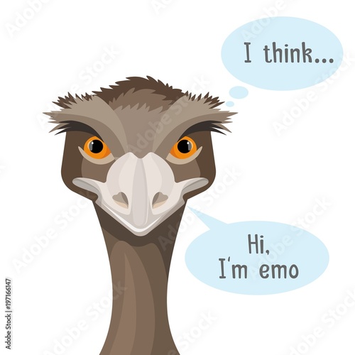 Emu isolated on white background with speech bubbles