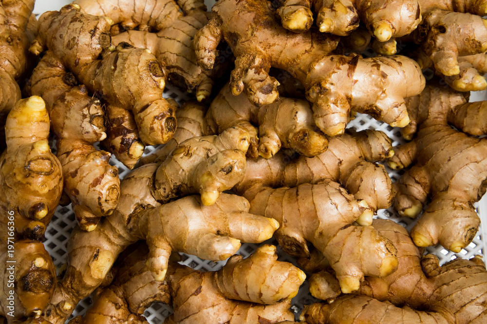 Fresh organic ginger background texture top viwe Fresh organic ginger background texture top viwe