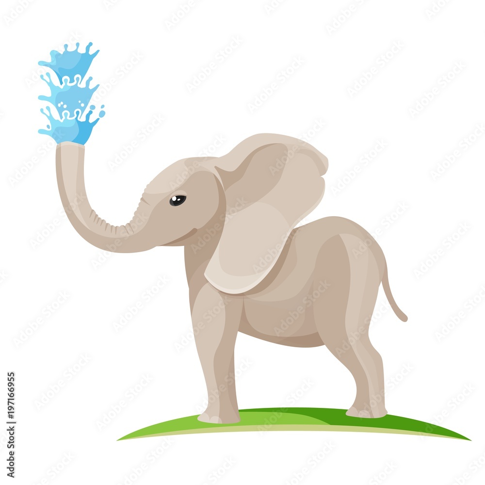 Young baby elephant blows water out of trunk Young baby elephant blows water out of trunk