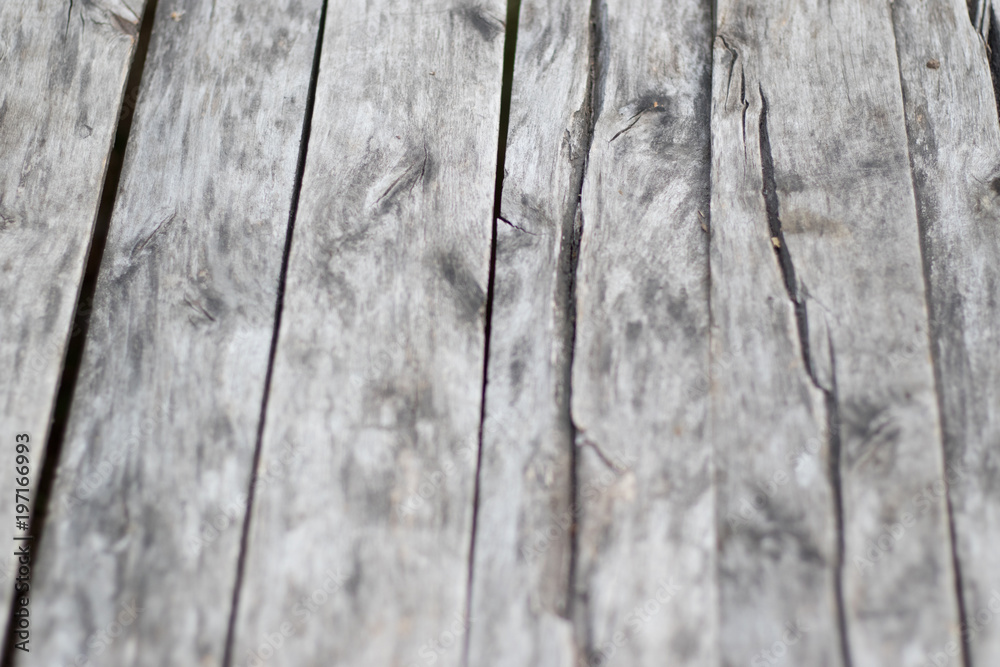 grey wood texture. background old panels grey wood texture. background old panels