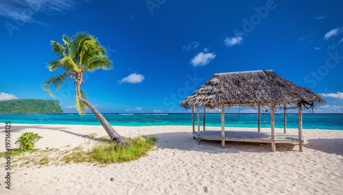 Tropical natural beach on Samoa Island with palm tree and fale, Upolu