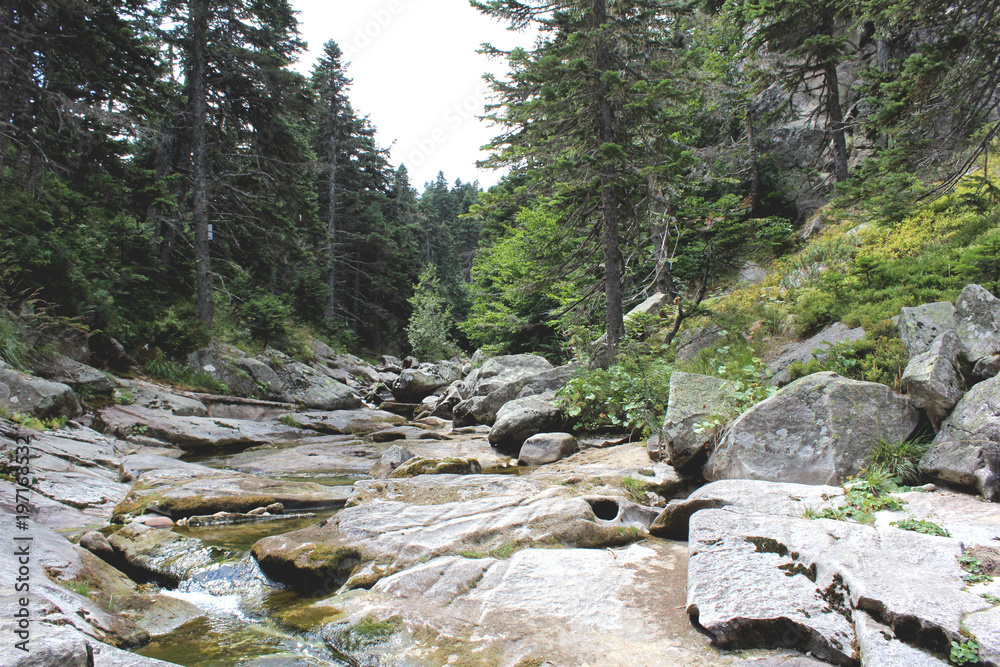 mountain riverbed summertime low water mountain riverbed summertime low water