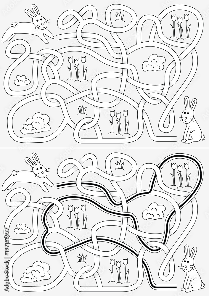 Bunny maze