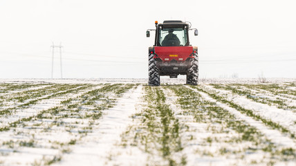 Farmer with tractor seeding - sowing crops at agricultural fields in winter