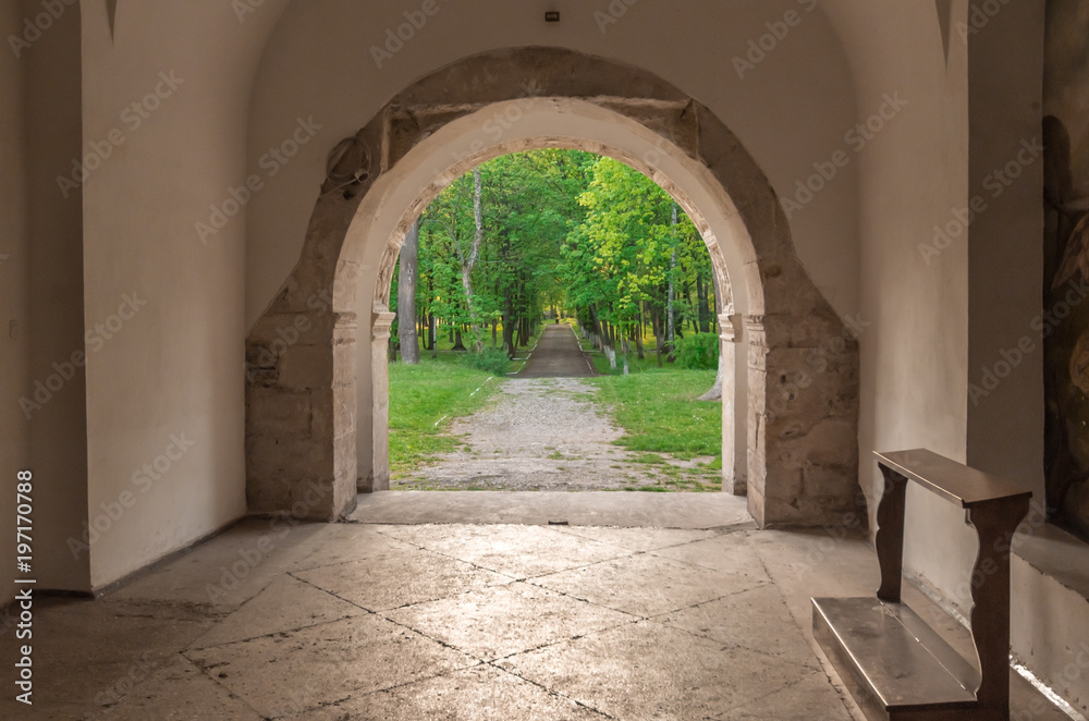 Obraz premium Ruins of Catholic Assumption Church, Ukraine