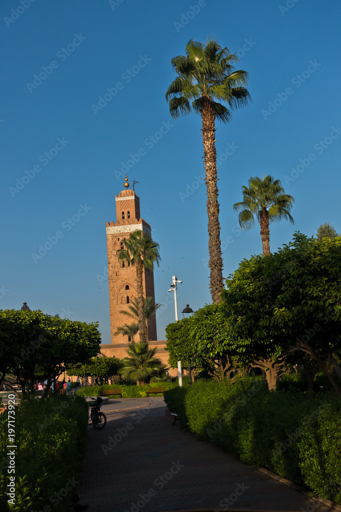 Fototapeta premium Public garden with palm trees in front of Koutoubia mosque at sunset, Marrakech, Morocco, North Africa