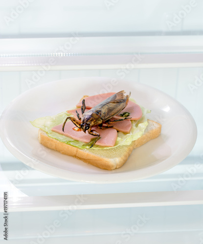 An open fridge with a fried Giant Water Bug - Lethocerus indicus on sandwich toast 