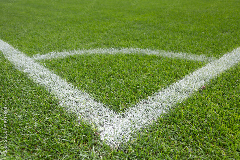 Football pitch close up. Football field or soccer field corner covered with grass turf.