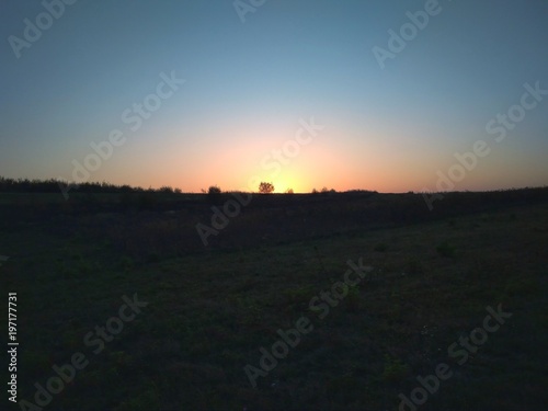 sunset on the field