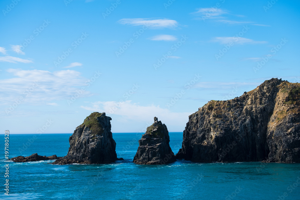 Cliff rocks on the sea. View from the ferry to South Island, New Zealand.