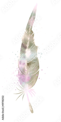 beige beautiful feather, watercolor