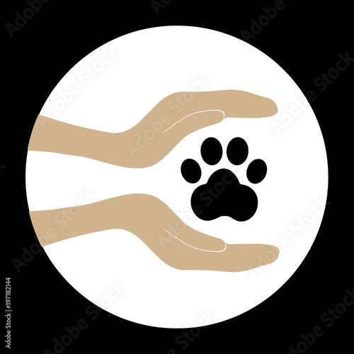 Animal dog paw in people hand 4