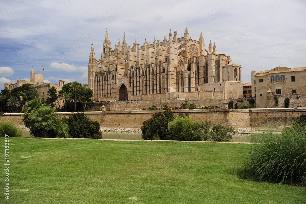 catedral mallorca