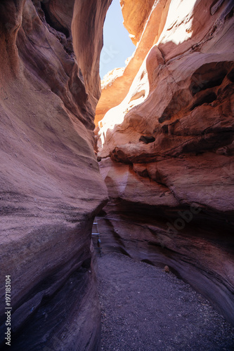 Canvas Print Red canyon  in the Israil and sun lights