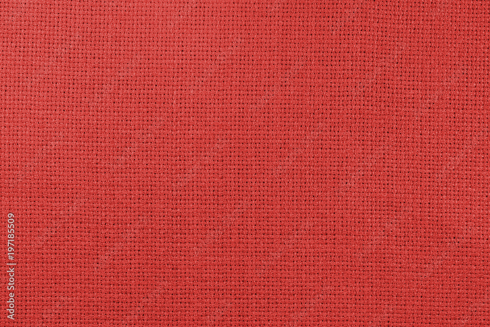 Fototapeta premium Fabric for embroidery (grenadine)
