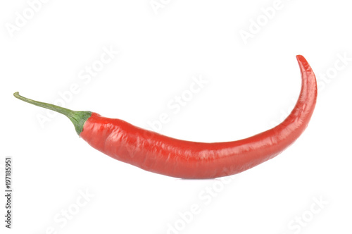 Chili pepper. Single red long pepper isolated on white background