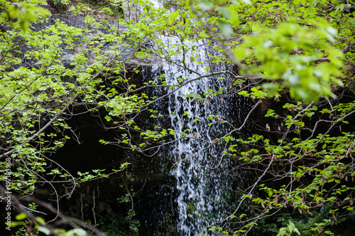  Small waterfall in forest. France