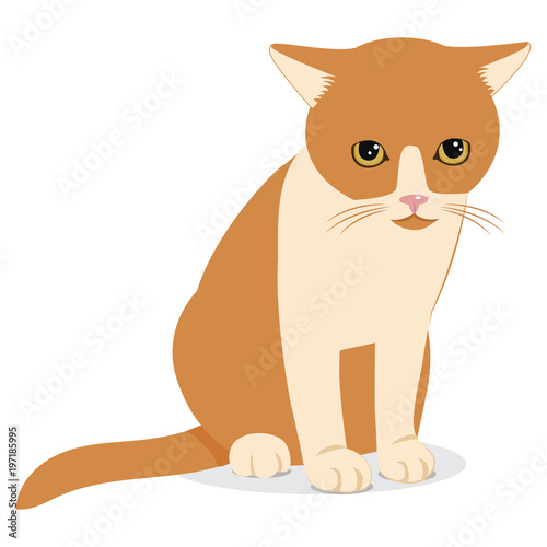 Sad Forlorn Cat. Cartoon Vector Illustration. Lonely Cat Meme. Cat Face Picture. Cat Wants To Come In.