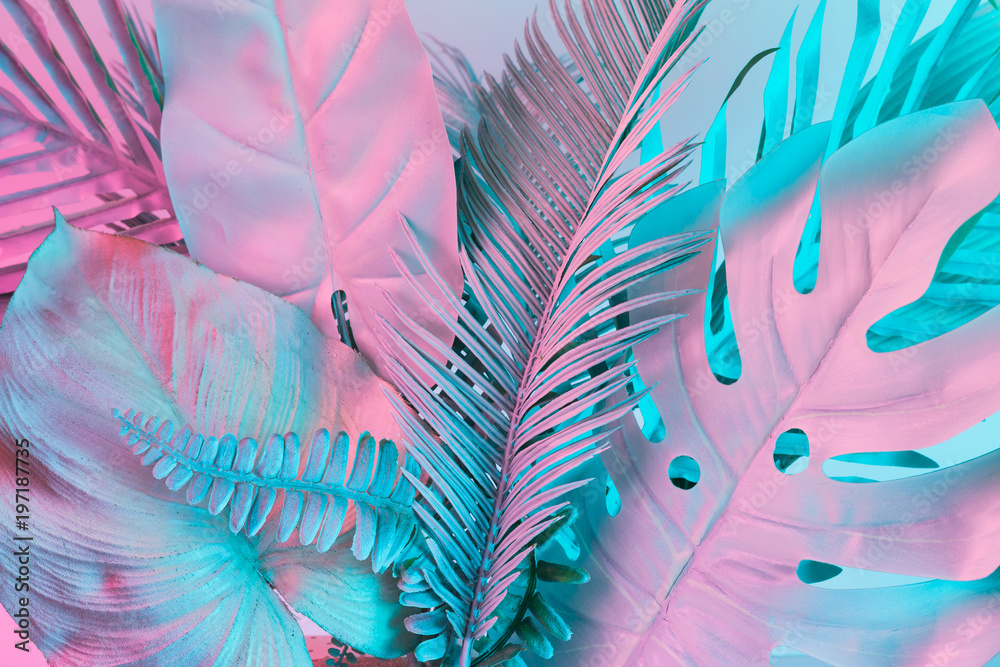 Obraz premium Pastelowe tropikalne liście palmowe