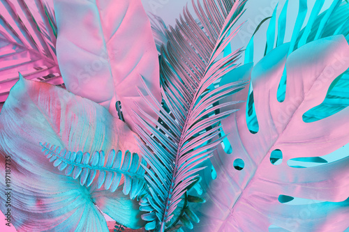 Photo Pastel tropical palm leaves