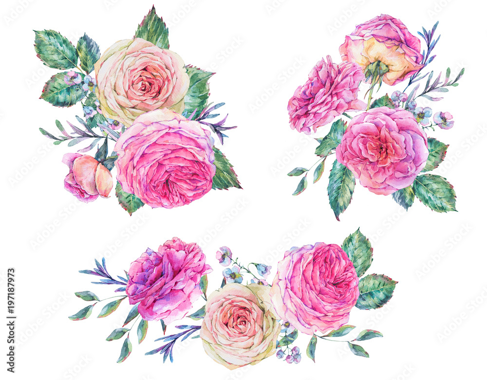 Watercolor set of vintage summer roses
